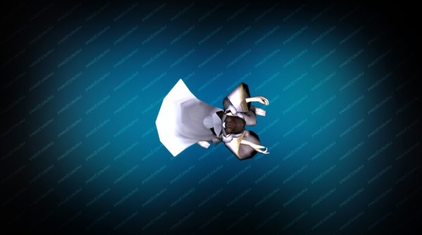 Модель игрока «Caitlyn» Вид сверху