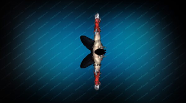Модель игрока «Devil Jin» Red TT для CS 1.6 Вид сверху