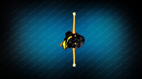 Модель игрока «Кот в Сапогах» для CS 1.6 Вид сверху