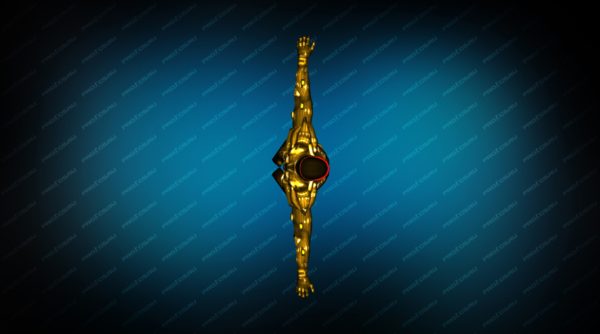 Модель игрока «NanoSuit Gold» Вид сверху