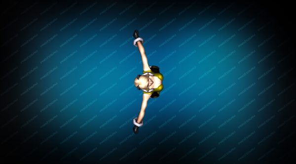 Модель игрока «Соня кошка» Вид сверху