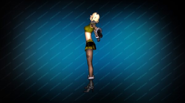 Модель игрока «Соня кошка» вид сбоку